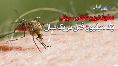  مخوف‌ترین قاتلان سریالی/ یک میلیون قتل در یک سال