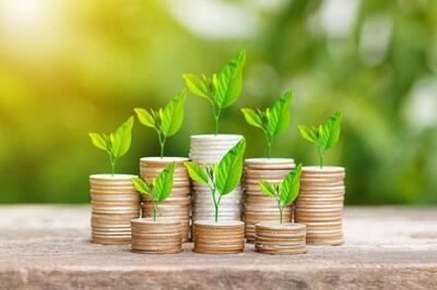  نگاهی به آخرین وضعیت پرتفوی «سلیم»
