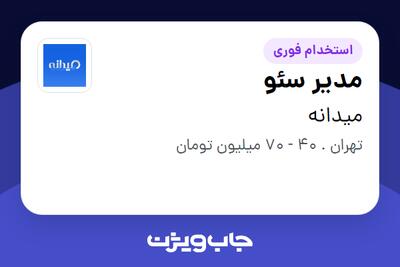  استخدام مدیر سئو در میدانه