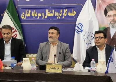  پروانه: تقویت نظام نظارت و ارزیابی طرح‌های اشتغال‌زایی ضروری است