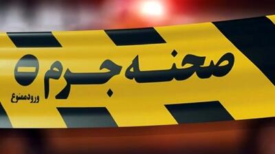 جزییات قتل پیرمرد ارمنی به دست پسرش در مجیدیه تهران