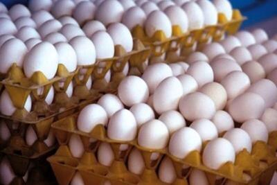  قیمت منطقی هر کیلو تخم مرغ برای مصرف کننده ۲۱۰ هزار تومان