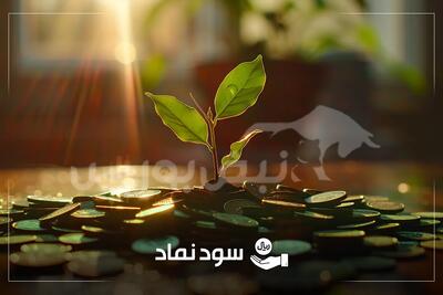  مجامع این هفته به پایان رسید؛ میزان سود و زمان پرداخت سود ۱۶ نماد بورسی مشخص شد